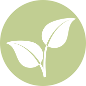 The Langdale Estate - Environment