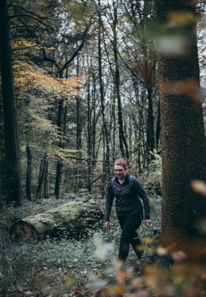 Grizedale Forest Walk the Lake District - The Langdale Hotel & Spa