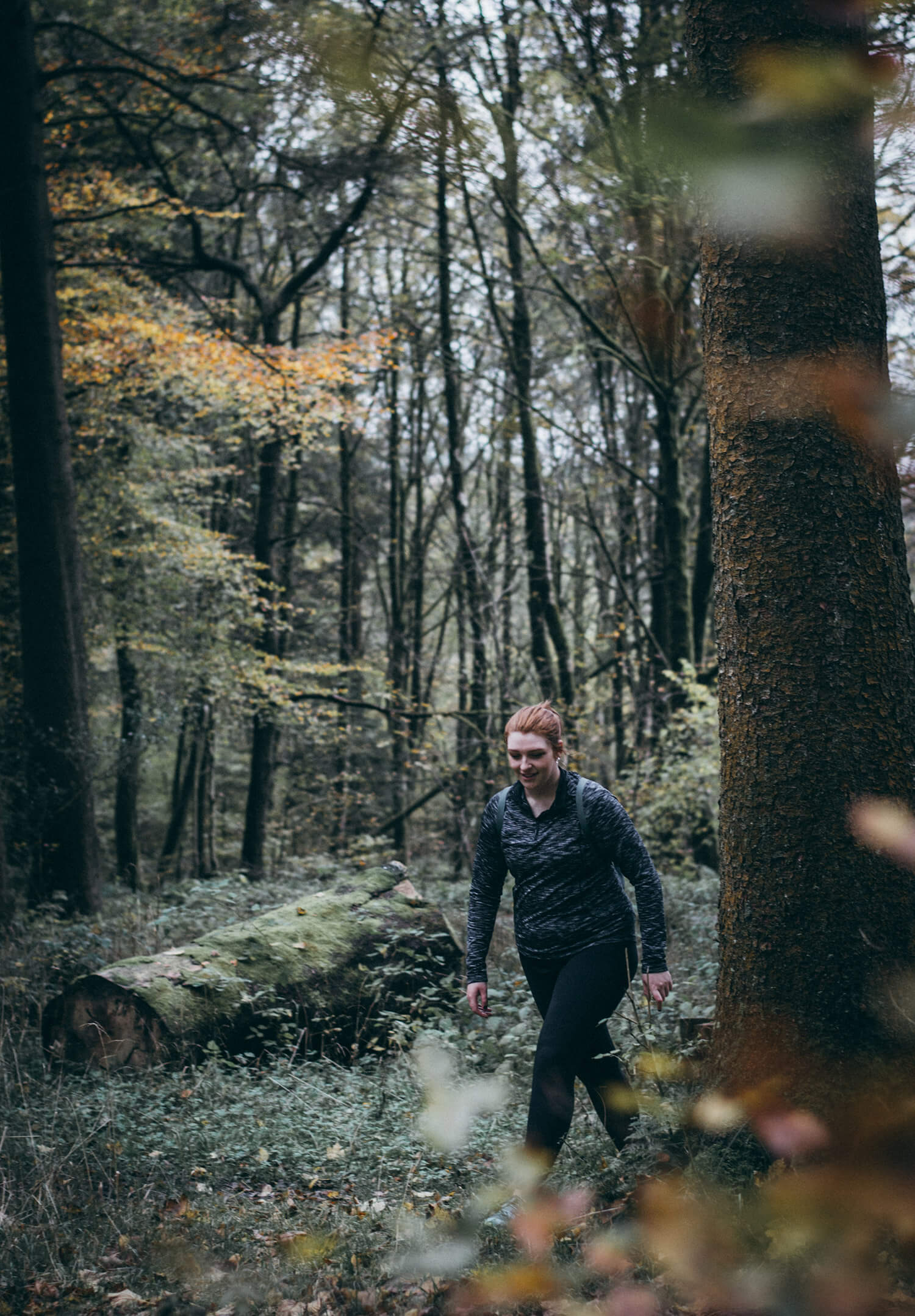 Grizedale Forest Walk the Lake District - The Langdale Hotel & Spa