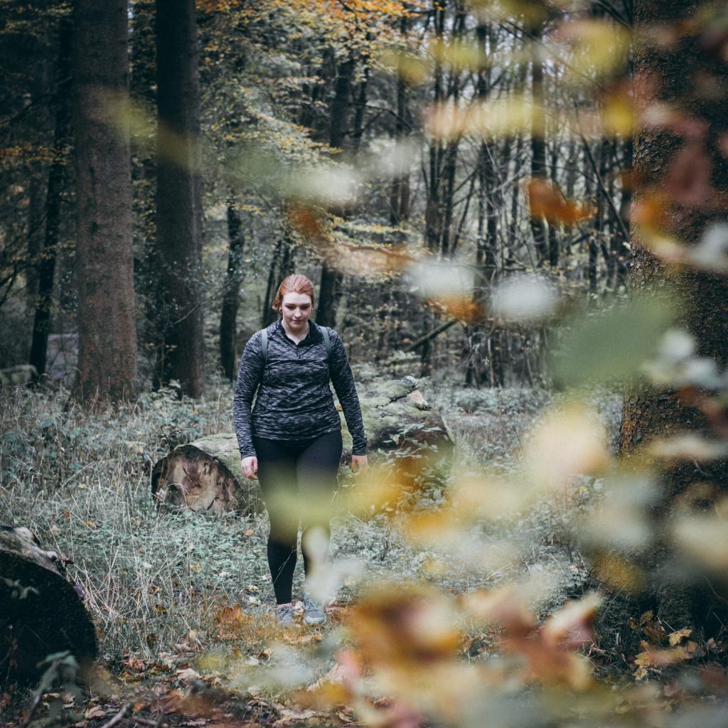 Grizedale Forest Walk the Lake District - The Langdale Hotel & Spa