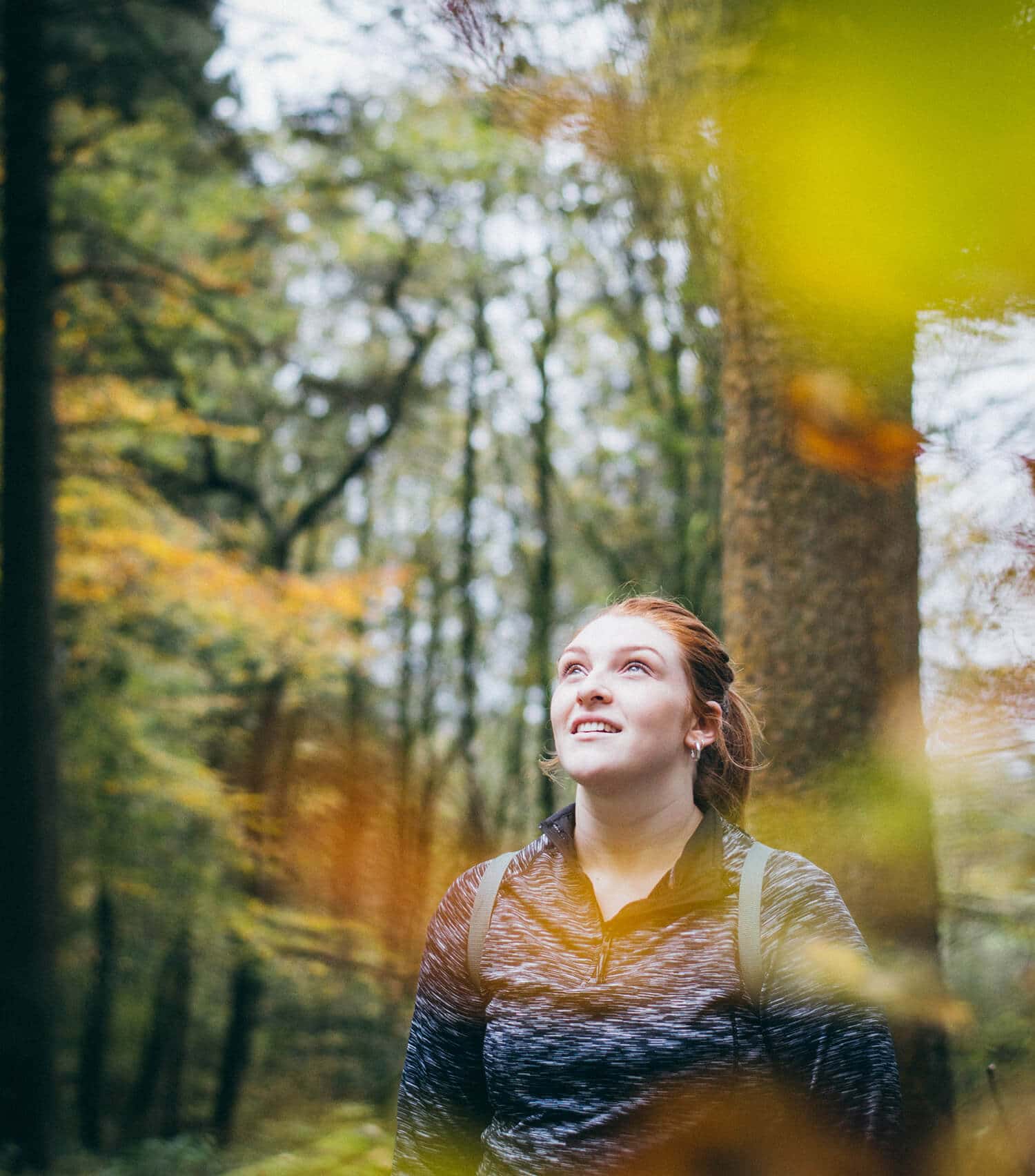 Grizedale Forest Walk the Lake District - The Langdale Hotel & Spa