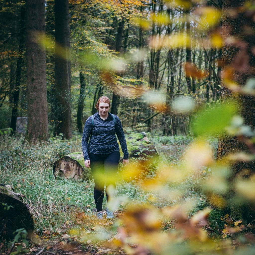 Grizedale Forest Walk the Lake District - The Langdale Hotel & Spa