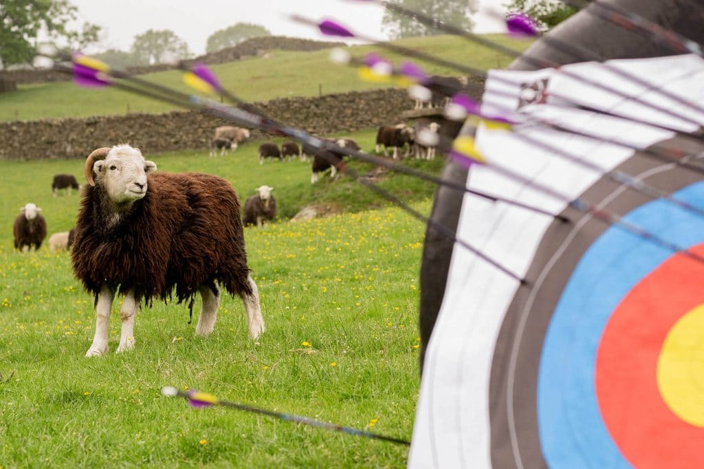 Lakeland farm Visitor Centre - things to do in the lake district
