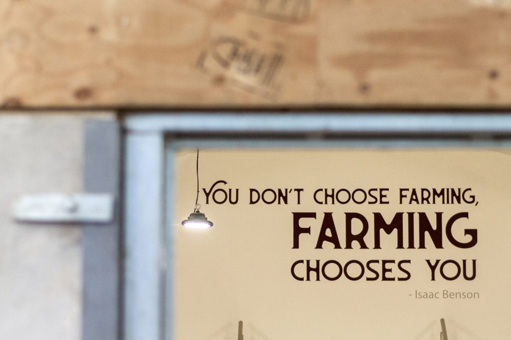 Lakeland farm Visitor Centre - things to do in the lake district