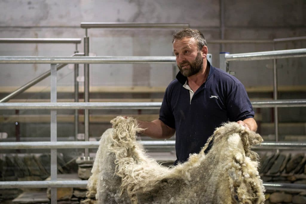 Lakeland farm Visitor Centre - things to do in the lake district