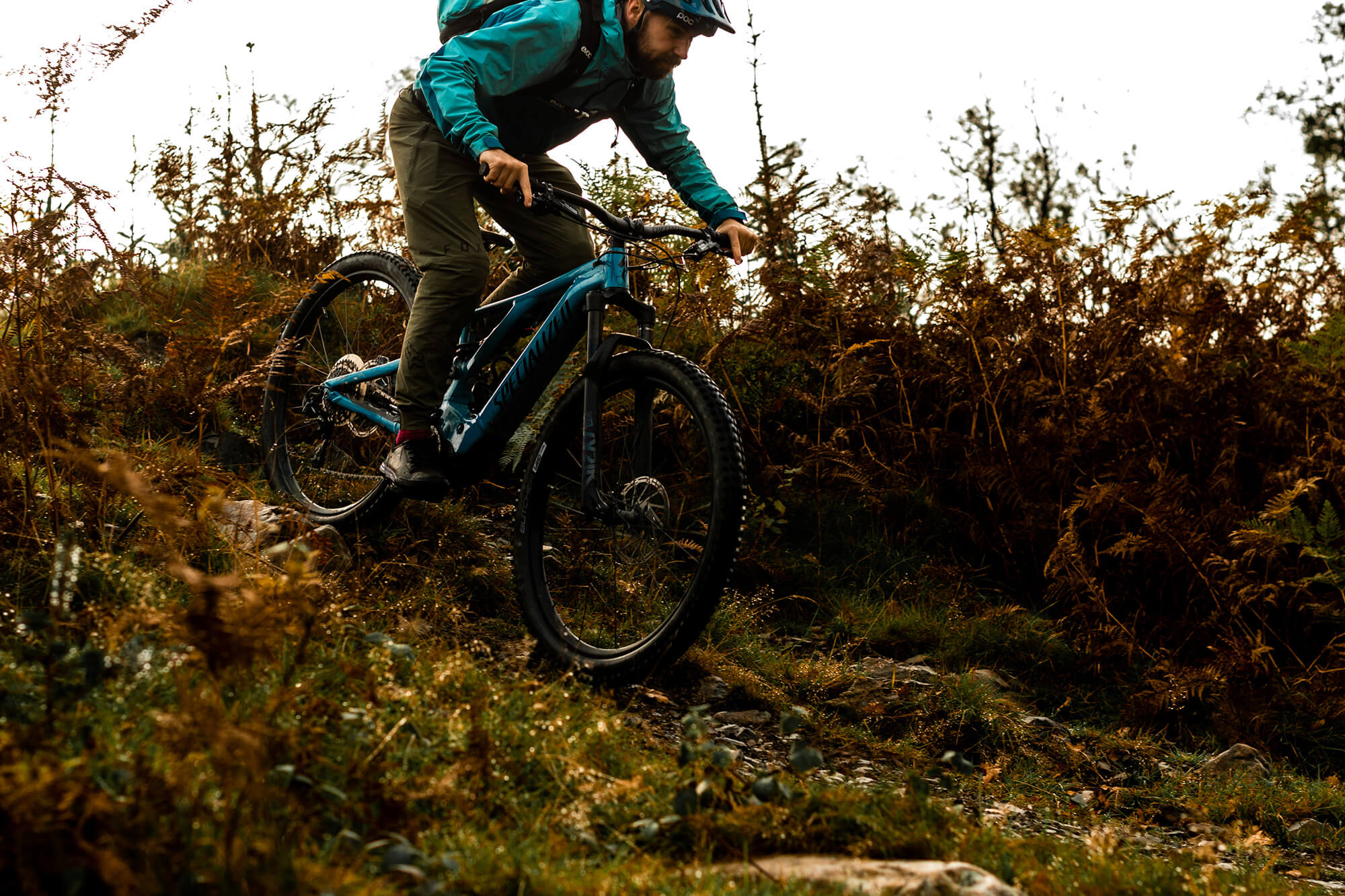 Grizedale Forest Biking the Lake District - The Langdale Hotel & Spa