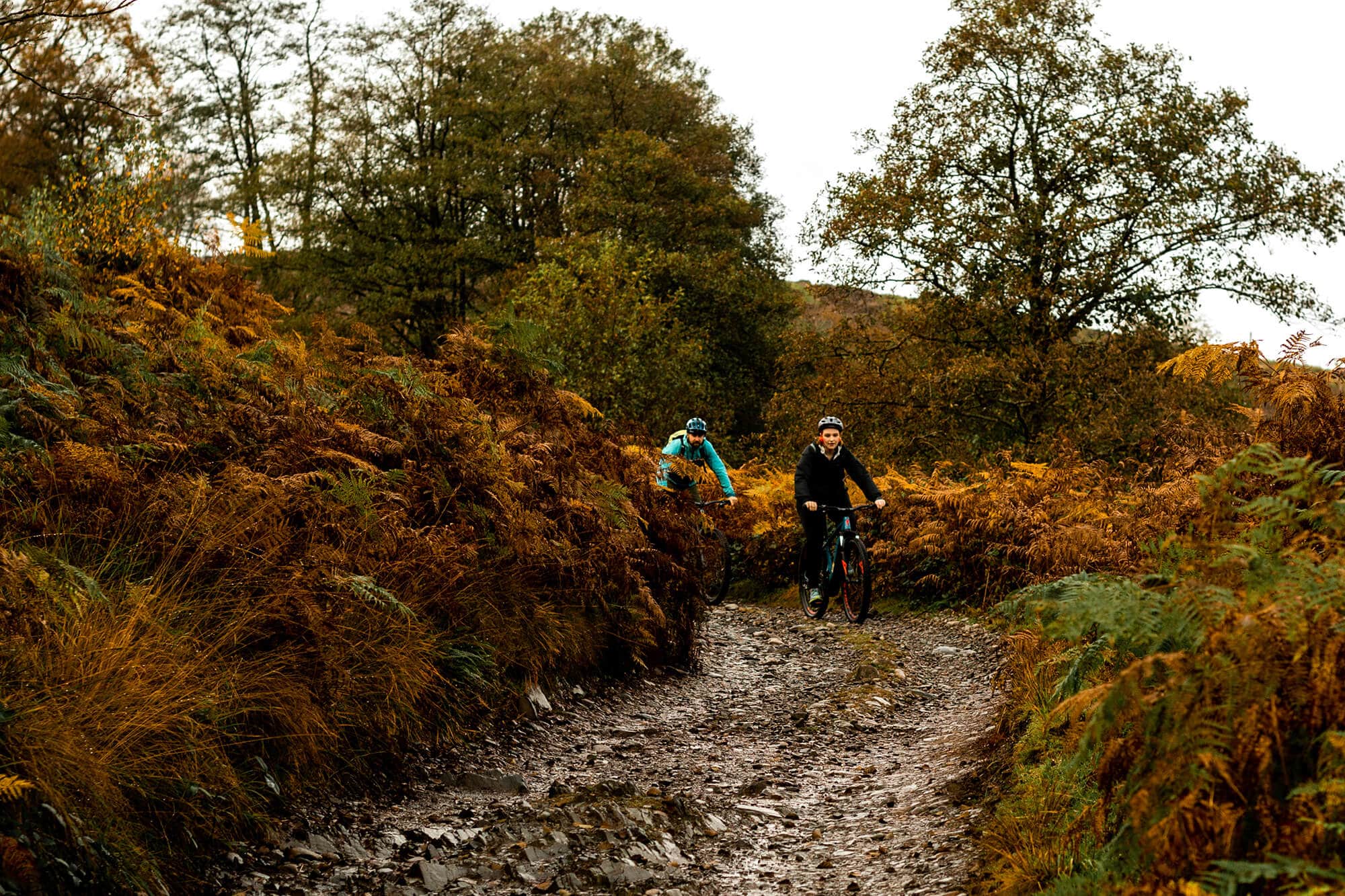 Grizedale Forest Biking the Lake District - The Langdale Hotel & Spa