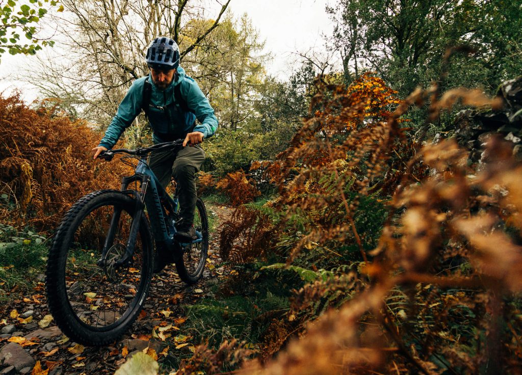Grizedale Forest Biking the Lake District - The Langdale Hotel & Spa