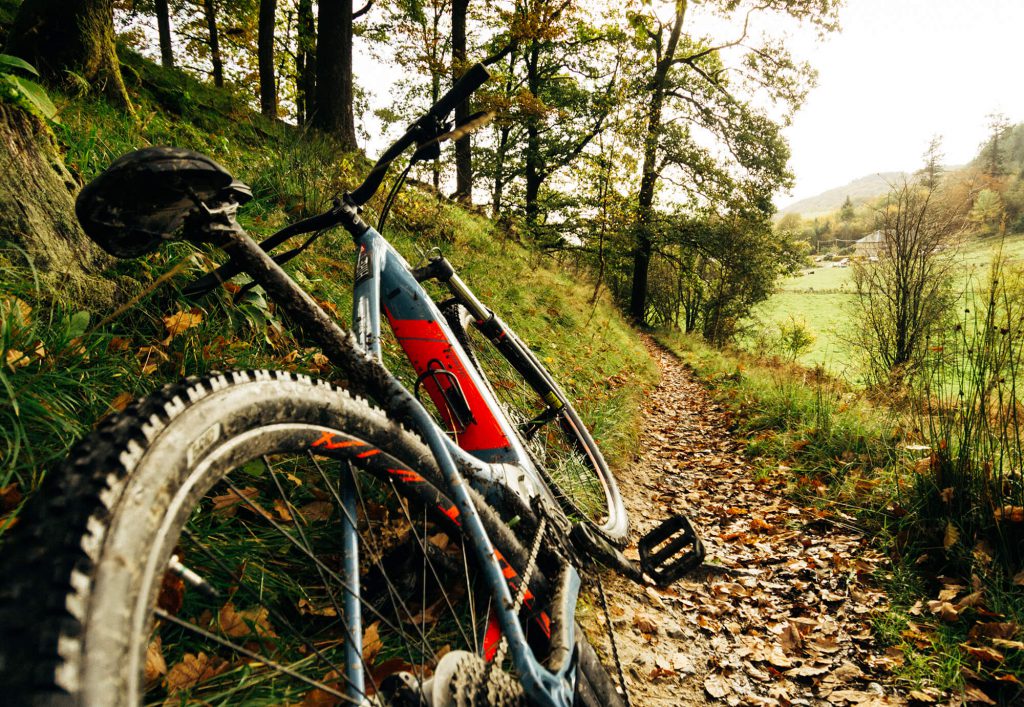 Grizedale Forest Biking the Lake District - The Langdale Hotel & Spa