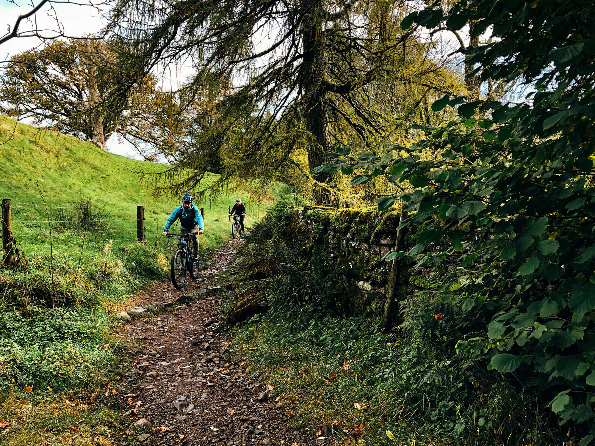 Grizedale Forest Biking the Lake District - The Langdale Hotel & Spa