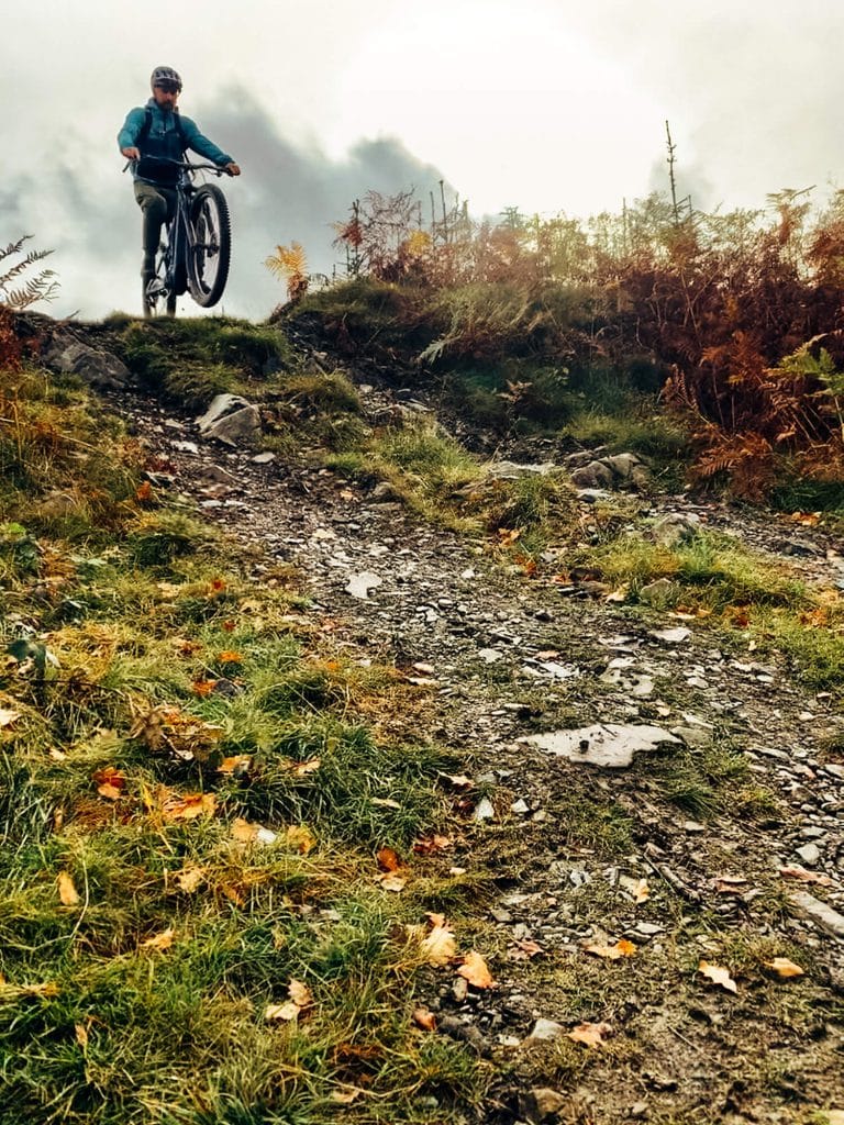 Grizedale Forest Biking the Lake District - The Langdale Hotel & Spa