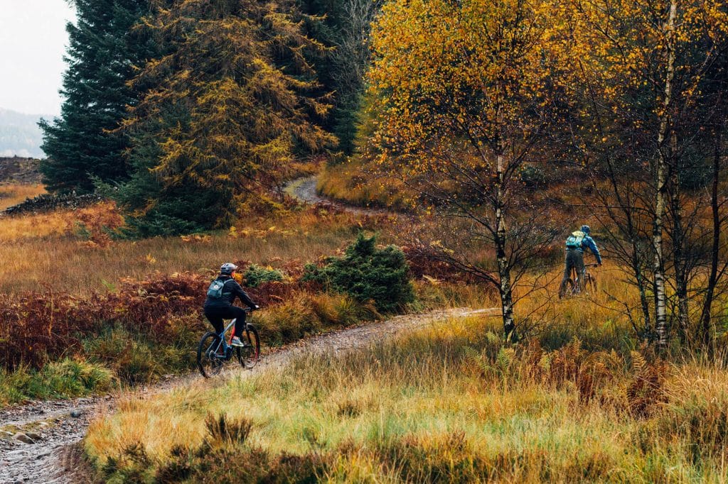 Grizedale Forest Biking the Lake District - The Langdale Hotel & Spa