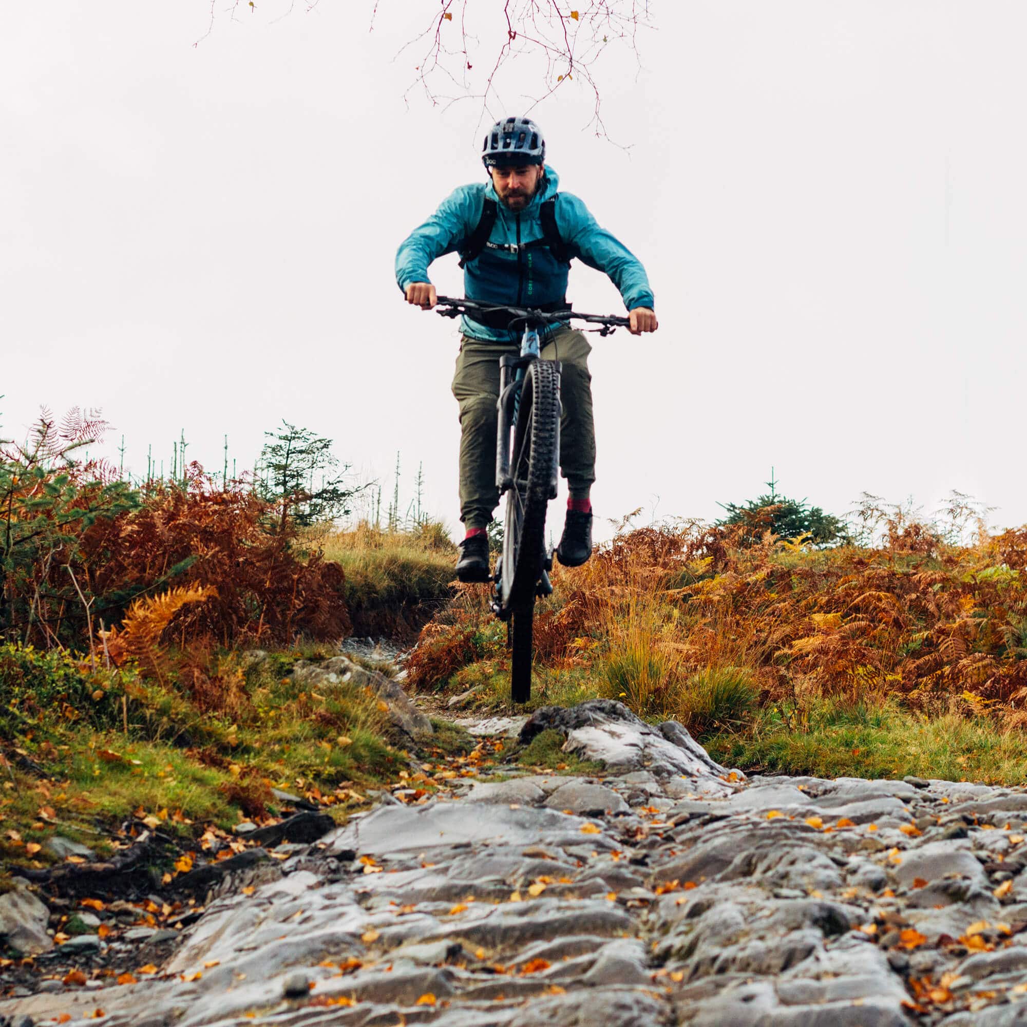 Grizedale Forest Biking the Lake District - The Langdale Hotel & Spa